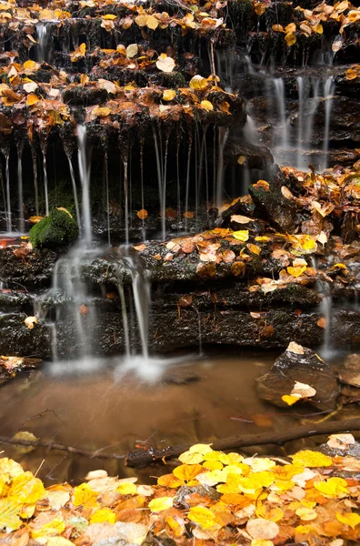 Acqua cadente tra le foglie autunnali — Foto Stock