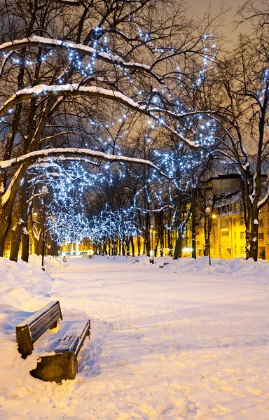 Bench and decorated snowy alley