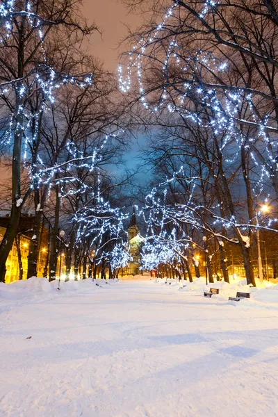 Illuminated snowy avenue at night