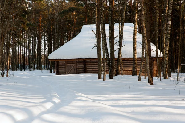 Antiguo bloque en invierno en el bosque —  Fotos de Stock