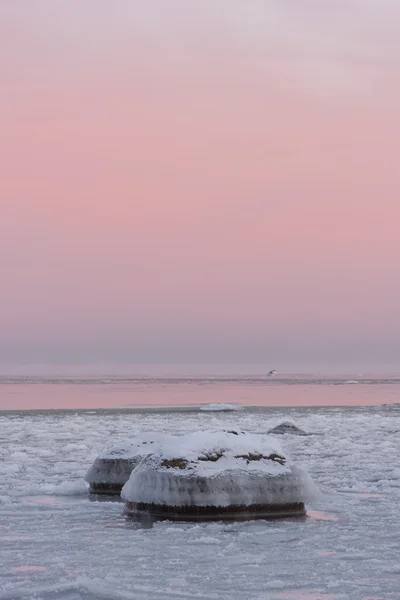 Ijzige rotsen in de zee bij zonsopgang of zonsondergang — Stockfoto