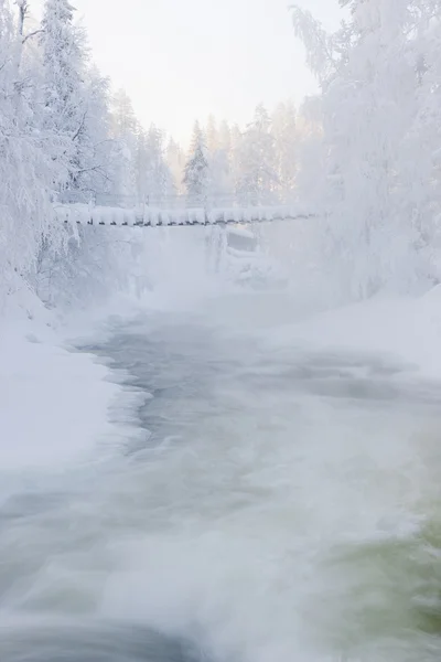 雪に覆われた森の川んだの — ストック写真