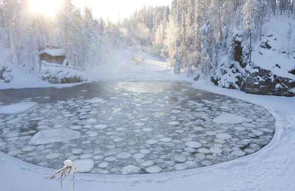 Hut near pond in winter forest — Stock Photo, Image