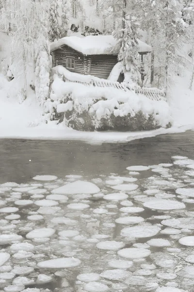 Hut near pond in winter forest — Stock Photo, Image