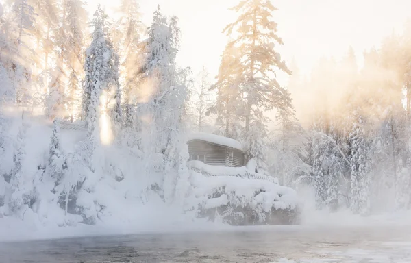 Hütte in Wassernähe und nebliger Wald im Winter — Stockfoto
