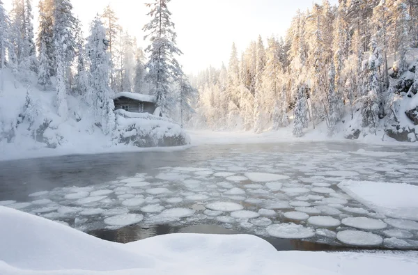 Hütte am Teich im Winterwald — Stockfoto