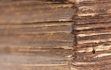 eski bir kitap köşesi closeup