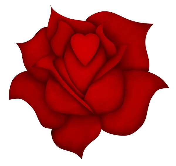 Ilustracja kwiat róży — Zdjęcie stockowe