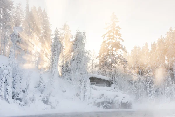 Télen a víz és ködös erdő közelében kunyhó — Stock Fotó