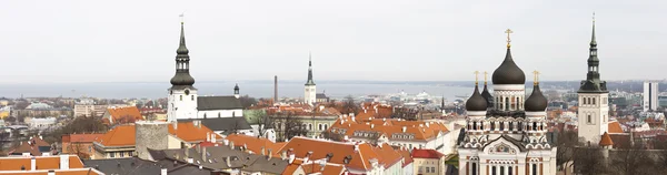 Panoramy starego miasta w Tallinie — Zdjęcie stockowe