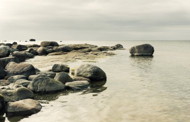 kayalık sahil şeridi