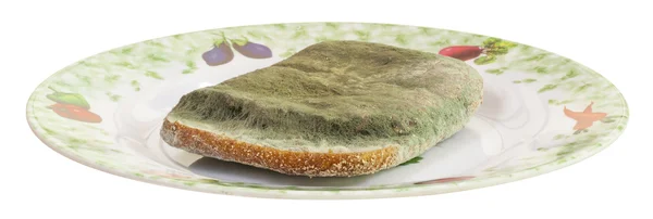 küflü ekmek veya sandwitch