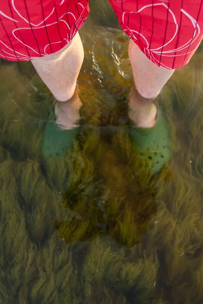 Legs in water — Stock Photo, Image