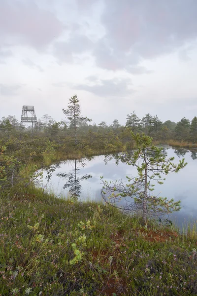 Marsh landskap med damm och titta på tornet — Stockfoto