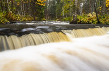 sonbahar ormandaki küçük şelale