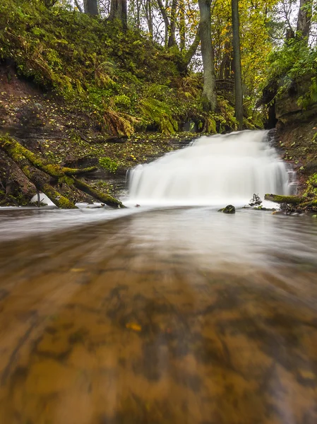 Маленький водопад в осеннем лесу — стоковое фото