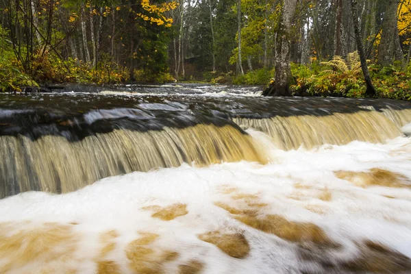 Lilla vattenfallet i höst skog — Stockfoto