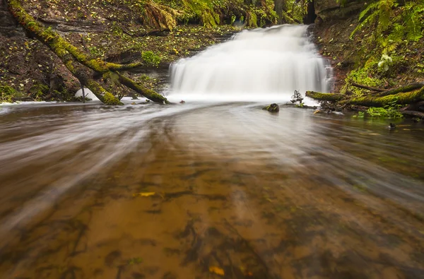 Маленький водопад в осеннем лесу — стоковое фото