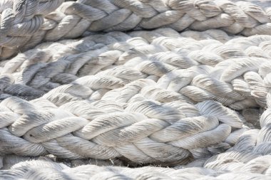 Cambaz ipinde closeup