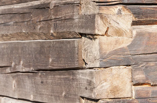 오래 된 나무 줄기 벽 — 스톡 사진
