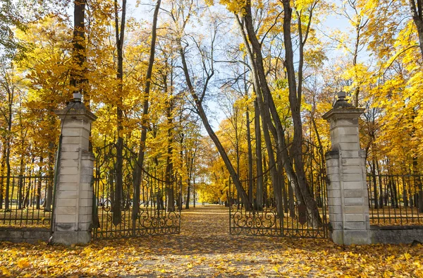 Cancello aperto in autunno — Foto Stock