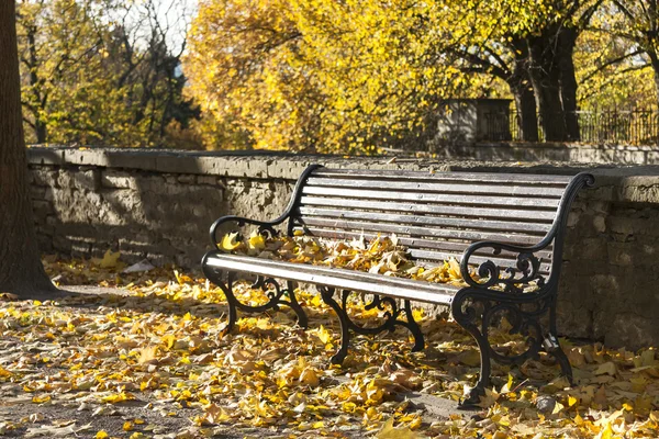 Lavička v parku na podzim — Stock fotografie