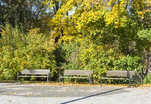 Bänke im Park im Herbst — Stockfoto