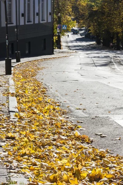 道路上の秋の紅葉 — ストック写真