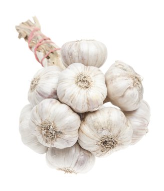 beyaz zemin üzerinde demet izole sarımsak