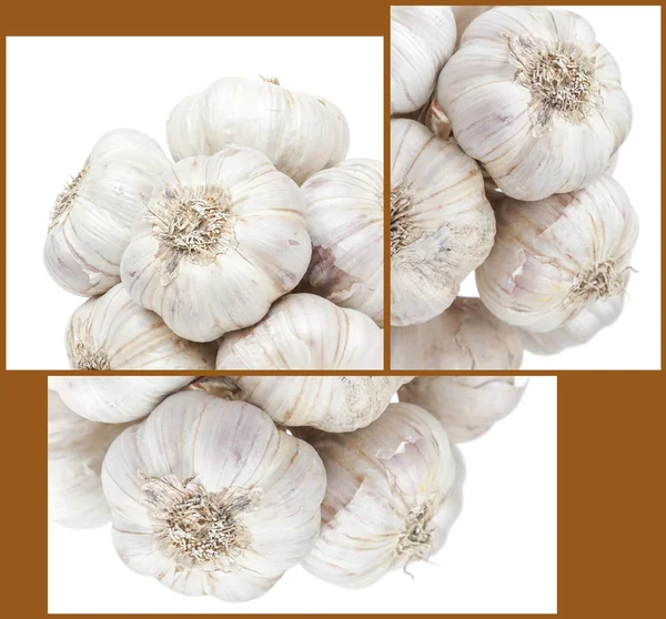 Uppsättning av isolerade garlics — Stockfoto