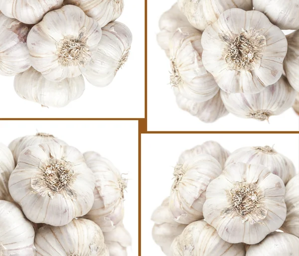 Uppsättning av isolerade garlics — Stockfoto