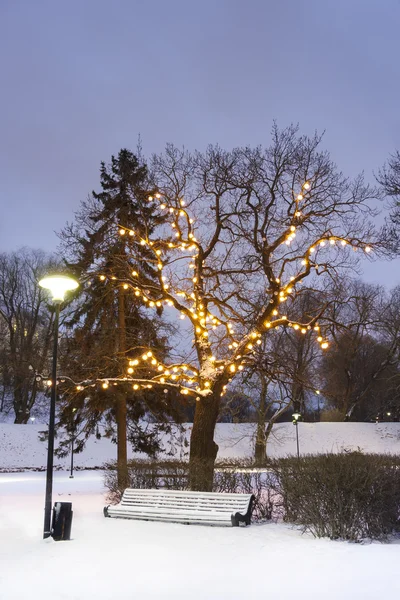 Sedile parco bianco sotto l'albero illuminato in inverno — Foto Stock