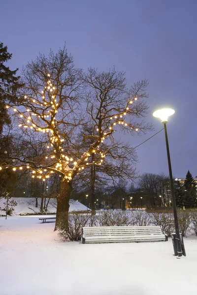 Sedile parco bianco sotto l'albero illuminato in inverno — Foto Stock