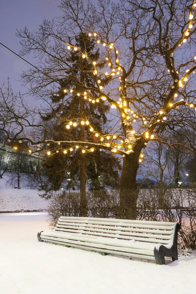 Beyaz park koltuk kışın ışıklı ağaç altında — Stok fotoğraf