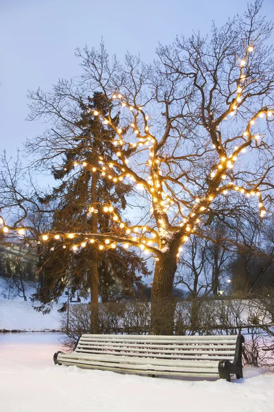 Beyaz park bankında kışın ışıklı ağaç altında — Stok fotoğraf
