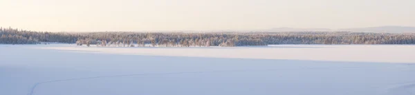 Zasněžené zimní krajiny panorama — Stock fotografie