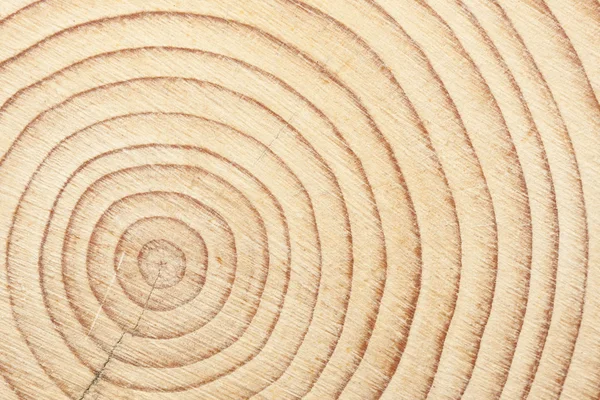 Kruis knippen van een bundel van het hout — Stockfoto