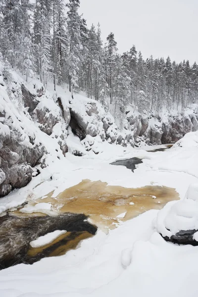 बर्फीले शीतकालीन जंगल में बहती नदी — स्टॉक फ़ोटो, इमेज