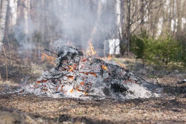 Sigara şenlik ateşinde orman
