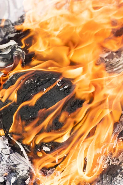 Chamas de fogo em torno de árvore negra log — Fotografia de Stock