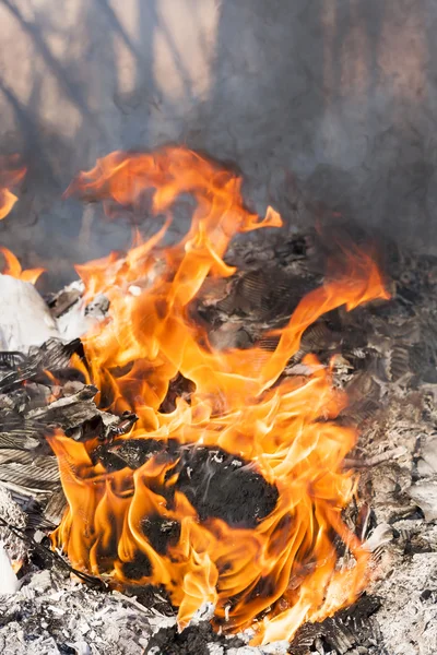 Brand vlammen rond zwarte boom log — Stockfoto