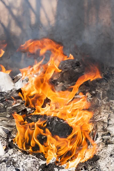 Flammen um schwarzen Baumstamm Stockbild