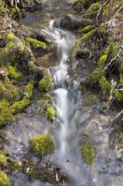 bakire doğada küçük şelale