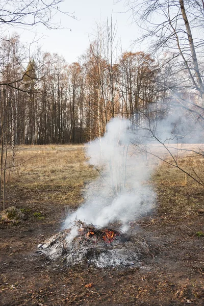 Smoking bonfire at forest — Stock Photo, Image