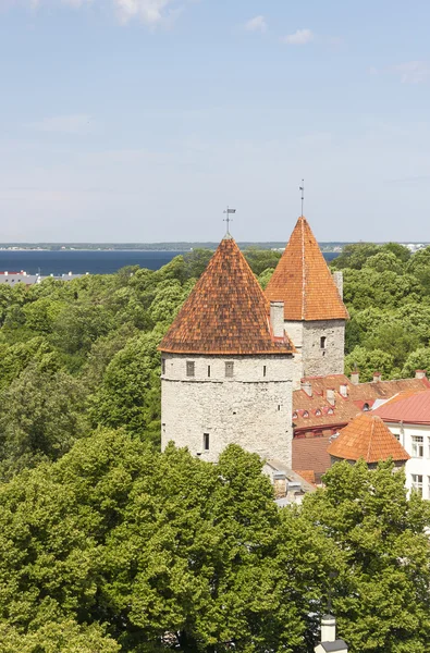 カーテン ウォールは、タリン、エストニアを塔します。 — ストック写真