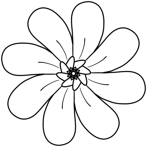 Σχέδιο Γραμμή Σκίτσο Σχέδιο Λουλούδι Απομονωμένη Εικόνα Λευκό Φόντο — Φωτογραφία Αρχείου