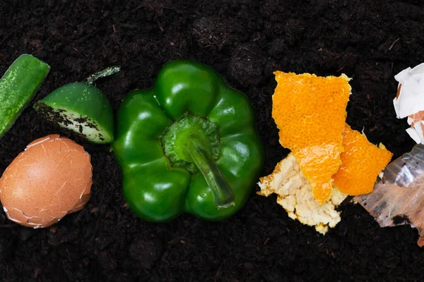 Remains of food waste on the soil close-up, concert of compost and fertilizers.