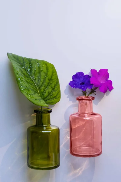 Abstraktes Dekoratives Stillleben Nahaufnahme Schwebende Glasflaschen Mit Fliederblatt Und Zwei — Stockfoto