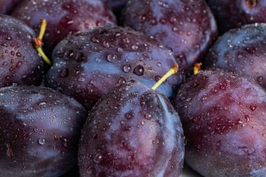 Damlalı erikler. güzel ev eriklerinin arkaplanı.