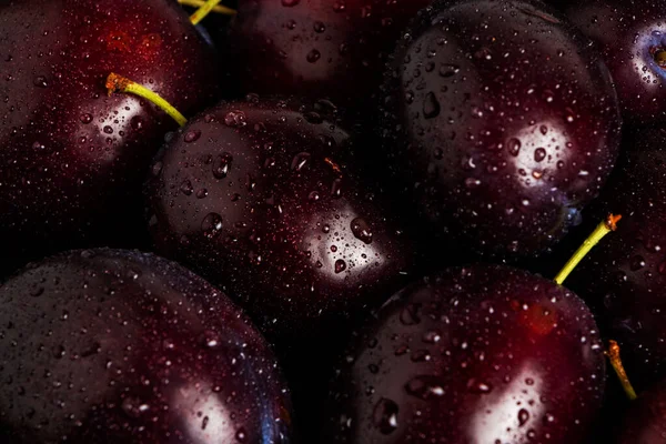 Yakın mesafeden taze erikler. Eriklerin arkaplanı.